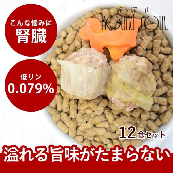 愛犬用 手作りごはん 低リン 犬 腎臓 フード ドッグフード 腎臓 ご飯 小型犬 中型犬 大型犬 豚挽き肉の和風ロールキャベツ12食セット ハウンドカム食堂 冷凍便
