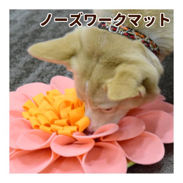 犬用おもちゃ ノーズワークマット : 安心おやつ歯みがき帝塚山ハウンド