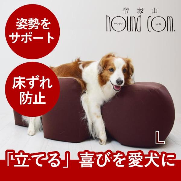 houndcom_jp066lbr