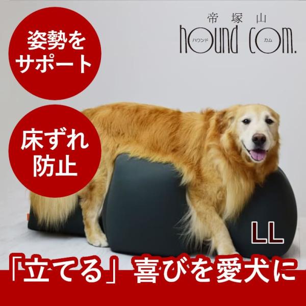 犬用立位保定・介護ベッド　リラクッションM 愛犬用ベッド リラクッション M ブラウン 立位保定・介護ベッド
