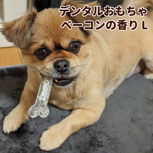 犬用デンタルおもちゃ デンタルソフトボーン ベーコンの香り Lサイズ