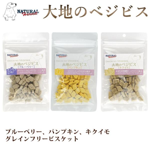 ナチュラルハーベスト 　 犬 おやつ 　 大地のベジビス 　 ブルーベリー・パンプキン・キクイモ　グレインフリービスケット