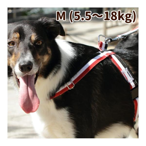 ASHU 犬 ハーネス お散歩 トリコロール サイズM : 安心おやつ歯みがき
