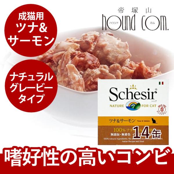 houndcom_sch-002tsset