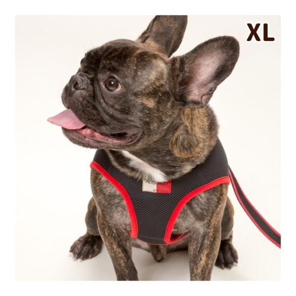 犬用 ハーネス Ashu ウェアハーネス Xlサイズ T 犬手作りごはん帝塚山ハウンドカム 通販 Yahoo ショッピング