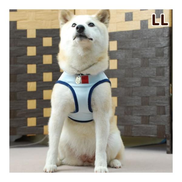 犬 ハーネス Ashu クールウェアハーネス Llサイズ T 犬手作りごはん帝塚山ハウンドカム 通販 Yahoo ショッピング