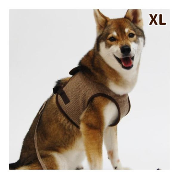 犬用ハーネス 中型犬 Ashu ニットウェアハーネス Xlサイズ 犬 服 T 犬手作りごはん帝塚山ハウンドカム 通販 Yahoo ショッピング