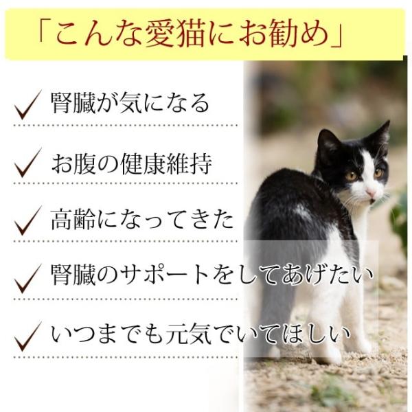 猫 腎臓サポート サプリメント 腎パワー元気 90g Dejapan Bid And Buy Japan With 0 Commission