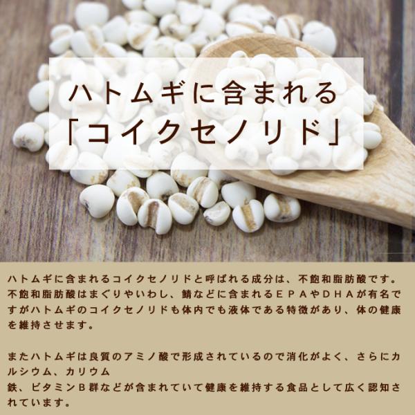 犬 手作り食 味しくヘルシー栄養満点 ハトムギパワー 140ｇ Buyee Buyee 日本の通販商品 オークションの代理入札 代理購入