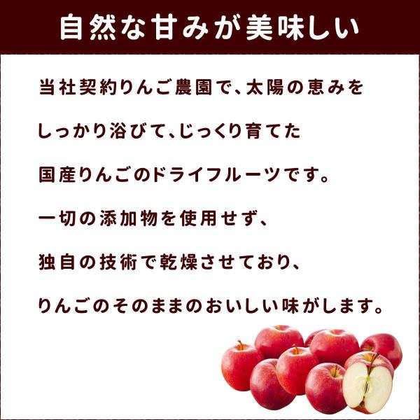 犬 おやつ 無添加 国産 りんご農家の手作り りんごコロコロ Buyee Buyee 日本の通販商品 オークションの代理入札 代理購入
