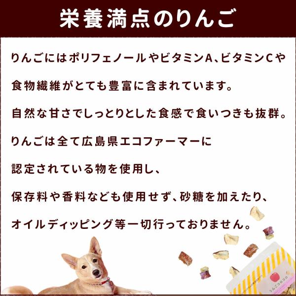 犬 おやつ 無添加 国産 りんご農家の手作り りんごコロコロ Buyee Buyee 日本の通販商品 オークションの代理入札 代理購入