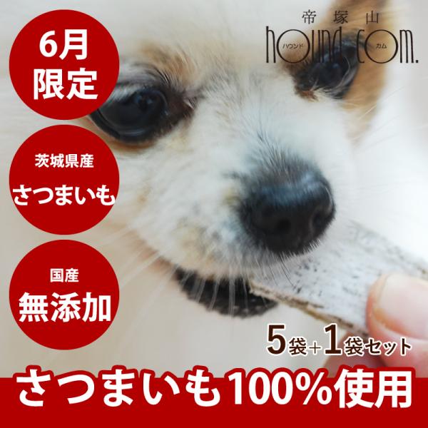 6月限定 犬 おやつ 無添加 手作り 干し芋スティック 5袋セット １ Tge s05 犬デンタルケア帝塚山ハウンドカム 通販 Yahoo ショッピング
