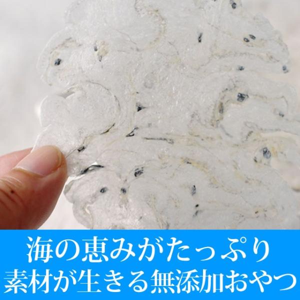 犬 猫 おやつ 無添加 安心 魚 いわし カルシウム しらすせんべい Buyee Buyee Japanese Proxy Service Buy From Japan Bot Online