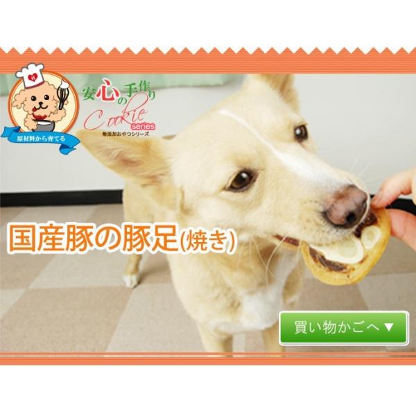 犬 おやつ 骨 無添加 安心 国産豚の豚足焼き Buyee Buyee 提供一站式最全面最專業現地yahoo Japan拍賣代bid代拍代購服務 Bot Online