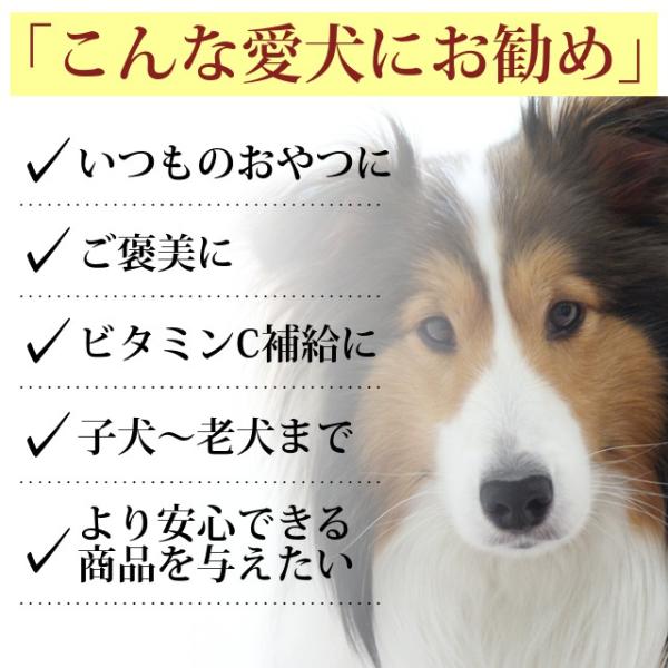 犬用おやつ 賞味期限5月9日まで Off 手作り ワケあり干し芋スティック100g 2 安心 無添加の干し芋おやつ Buyee 日本代购平台 产品购物网站大全 Buyee一站式代购 Bot Online