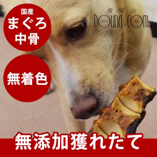 犬 猫 おやつ 安心 魚 骨 無添加 まぐろボーン デンタルケア Tge 犬デンタルケア帝塚山ハウンドカム 通販 Yahoo ショッピング