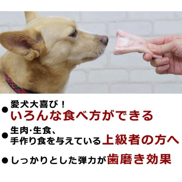 犬用 国産 馬アキレス生 1袋 デンタルケアにも Buyee Buyee 日本の通販商品 オークションの代理入札 代理購入