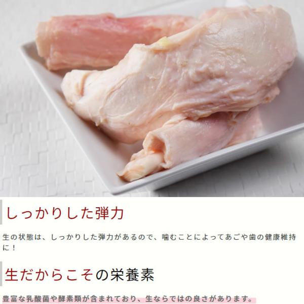 犬用 国産 馬アキレス生 1袋 デンタルケアにも Buyee Buyee 日本の通販商品 オークションの代理入札 代理購入