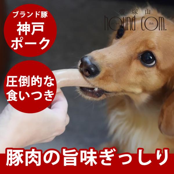生骨 簡単手作り食ドッグフード