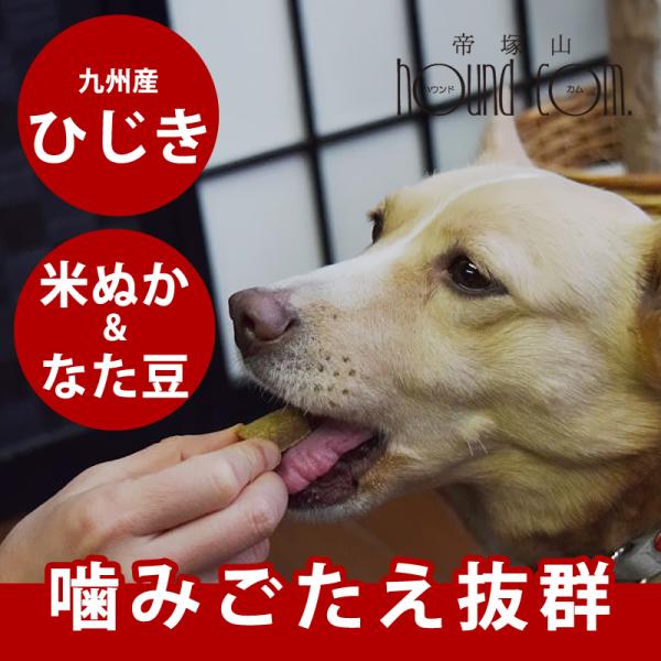 倍々+5倍!最大 !本日 !GLORY DOG&EARTH デンタルひじきビスケット ハード