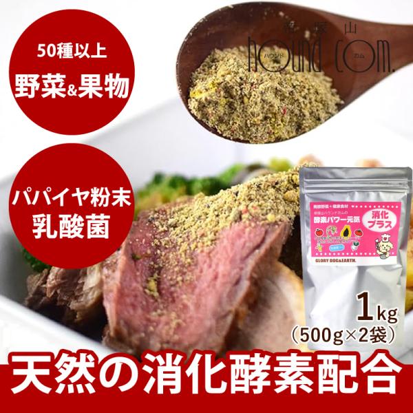 犬用猫用 野菜 酵素パワー元気消化プラス 発酵野菜パウダー 発酵食品