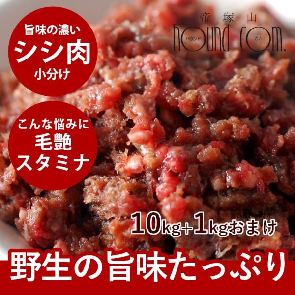 犬 生肉 シシ肉 ミンチ 小分けトレー 10kg+1kg ジビエ 猪