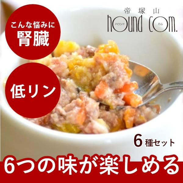 犬用 無添加 ウェットフード 子犬 成犬 シニア犬 愛犬の安心レトルトごはん 6つの味アソートセット 100g×6種（各1袋）