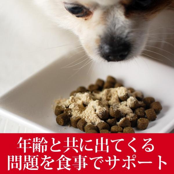 老犬健康ケア3点セット 毎日出荷中 A0366 サプリメント A0366 ペット用品 Tge Set05 犬デンタルケア帝塚山ハウンドカム