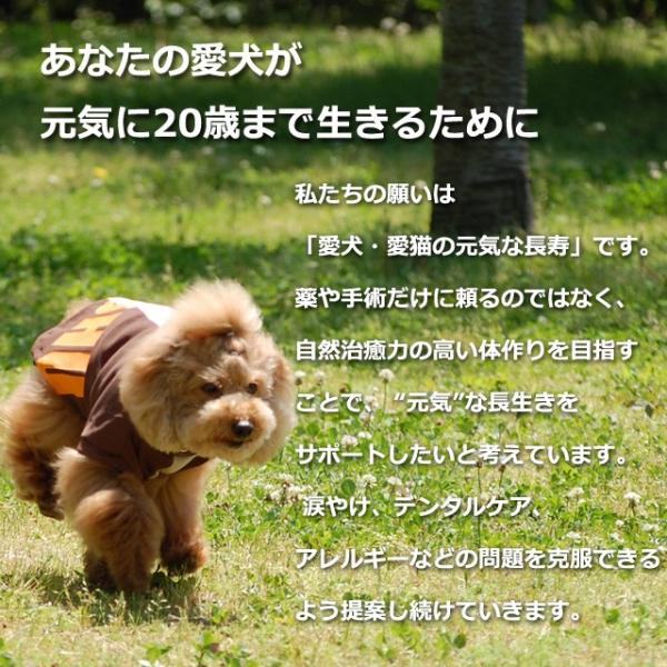 老犬健康ケア3点セット 毎日出荷中 A0366 サプリメント A0366 ペット用品 Tge Set05 犬デンタルケア帝塚山ハウンドカム