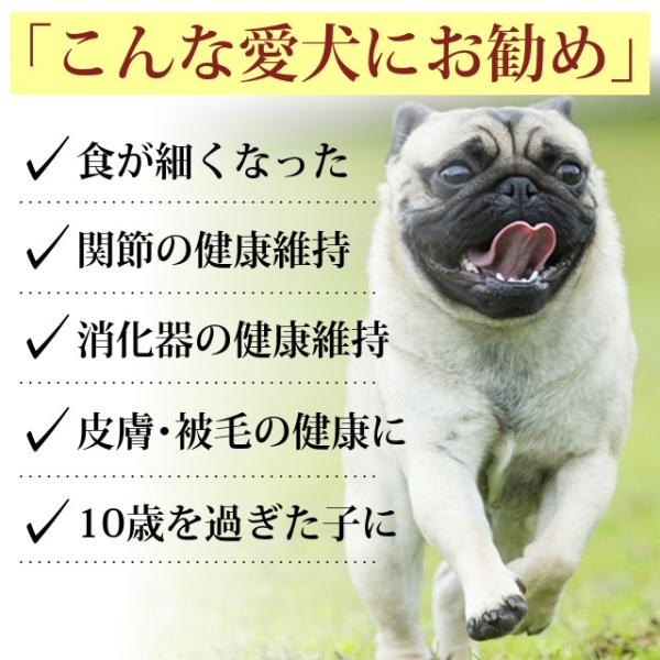 老犬健康ケア3点セット 毎日出荷中 A0366 サプリメント A0366 ペット用品 Tge Set05 犬デンタルケア帝塚山ハウンドカム