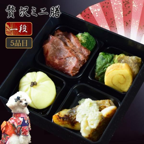 Lp 2026Nbґ~jV 1i 5퐷 pߗEybgpEybgp