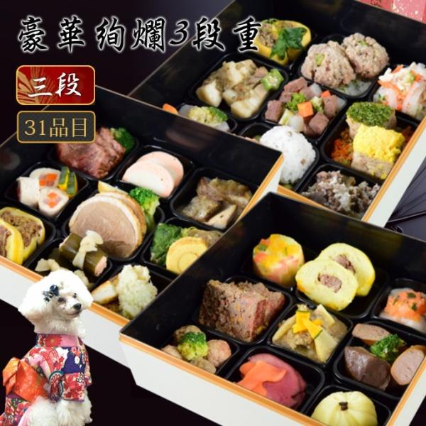 Lp 2026Nb؈3id 31퐷 pߗEybgpEybgp