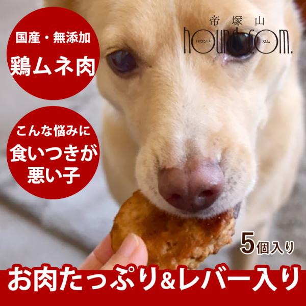 【タイムセール5％OFF】冷凍 犬用 ハンバーグ 国産鶏ムネ肉肝入りバーグ 5個入り（約30g×5個）