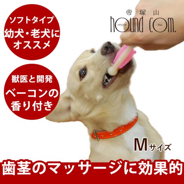 Hartz（ハーツ） 犬 おもちゃ デンタルボーン ソフトタイプMサイズ 犬