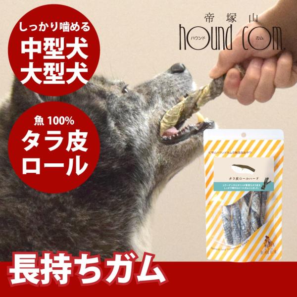 中型犬 大型犬 ガム 長持ち タラ皮ロールハード 5本入り 1袋 低脂肪 犬用歯磨きガム