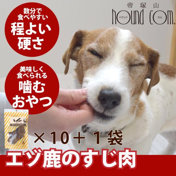 犬用おやつ エゾ鹿のすじ肉 30g×5袋セット