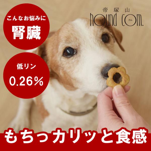 もちカリ食感のおやつ時間がホッと和む新食感のやさしいおやつ！■内容量60g■原材料小麦粉、鶏卵、そば粉、おから、オリゴ糖、モリンガ、玄米粉、なた豆粉、りんご粉末、小豆粉末、乳酸菌■成分値たんぱく質16.8%、脂質6.6%、炭水化物65.1%...