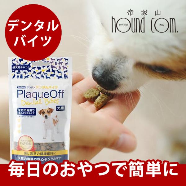 houndcom_treats86