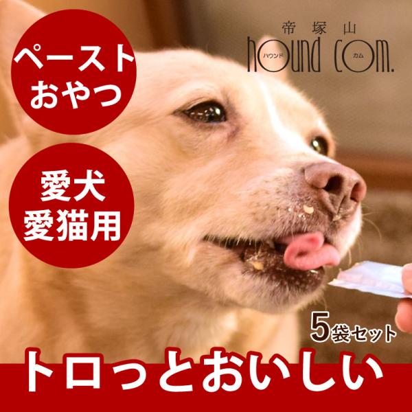 愛犬愛猫用ペースト状のおやつ 旨とろ チキン 5袋セット（10g×60本入）うまとろ 低脂肪