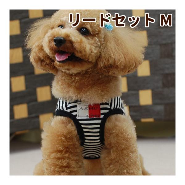 ASHU 犬 ハーネス ウェアハーネスボーダー＆リードセット Mサイズ