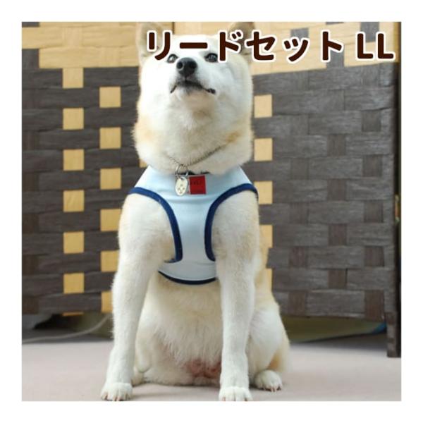 Ashuクールウェアハーネス リードセット Llサイズ 中型犬用 Dejapan Bid And Buy Japan With 0 Commission