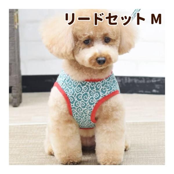 Ashuウェアハーネス 唐草セット Mサイズ 小型犬用 Whkset 3m 犬手作りごはん帝塚山ハウンドカム 通販 Yahoo ショッピング