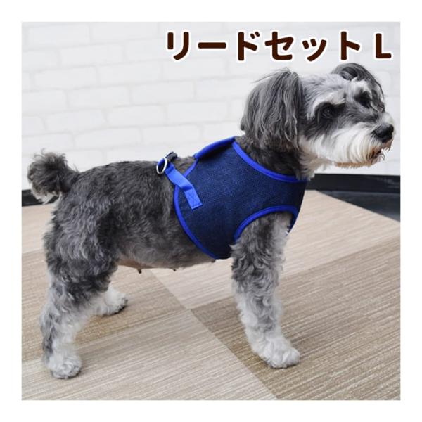 犬 ハーネス リード付き デニム 犬用 猫用 小型犬 可愛い 中型犬 おしゃれ 猫 ウェアハーネス 抜けない 脱げない 胴輪 簡単装着 ペット用 キャット ドッグ いぬ かわいい かっこいい マジックテープ 犬具 服 超小型犬 散歩 お出かけ スーパーゼール 犬 ハーネス