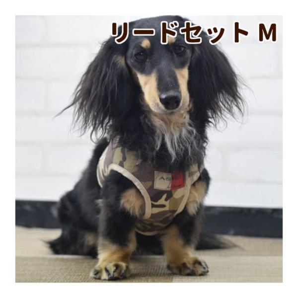 犬 ハーネス Ashu ウェアハーネス 迷彩 セット Mサイズ Whmset M 犬手作りごはん帝塚山ハウンドカム 通販 Yahoo ショッピング