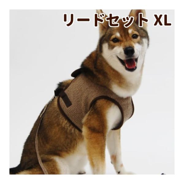 Ashuウェアハーネス ニットセット Xlサイズ 中型犬用 Whnset Xl 犬手作りごはん帝塚山ハウンドカム 通販 Yahoo ショッピング