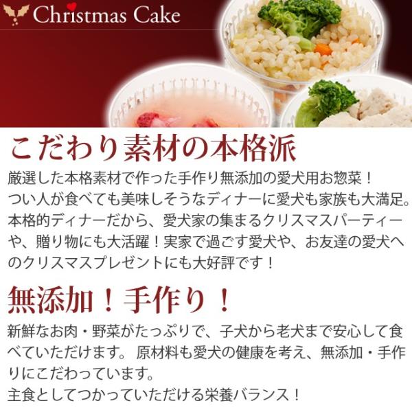 予約受付中 年 犬 クリスマスケーキ クリスマスディナーセット 犬用ケーキ Buyee 日本代购平台 产品购物网站大全 Buyee一站式代购 Bot Online