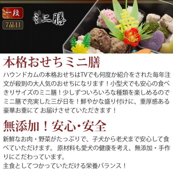 愛犬用年越しうどん おせち ミニ膳7種盛り １段 犬用お節料理 ペット用おせち ペット用お節 Buyee Buyee 日本の通販商品 オークションの代理入札 代理購入