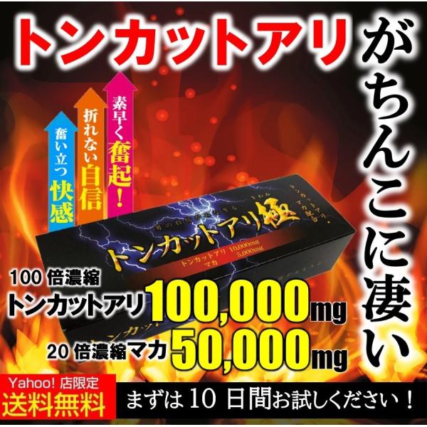 100倍濃縮したトンカットアリを1日で10000mg摂取可能20倍濃縮したマカを1日で5000mg摂取可能圧倒的な配合量で奮起とヤル気を促すトンカットアリ極（きわみ）トンカットアリとは？マレーシアの密林の奥深くに生息する樹木現地の人たちはこ...