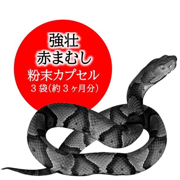 マムシ サプリ 3ヶ月分 赤まむし エゾウコギ ナルコユリ カプサイシン まむし粉末 性力 活力 宝力本舗