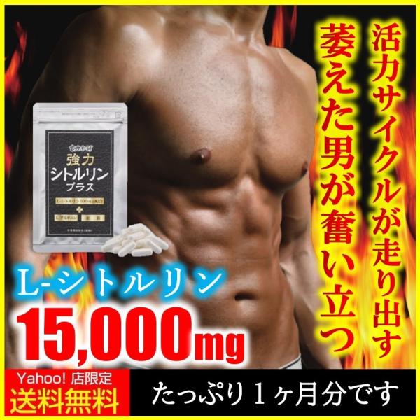 シトルリン サプリ 1ヶ月分 アルギニン 亜鉛 男性 サプリメント 増大 宝力本舗